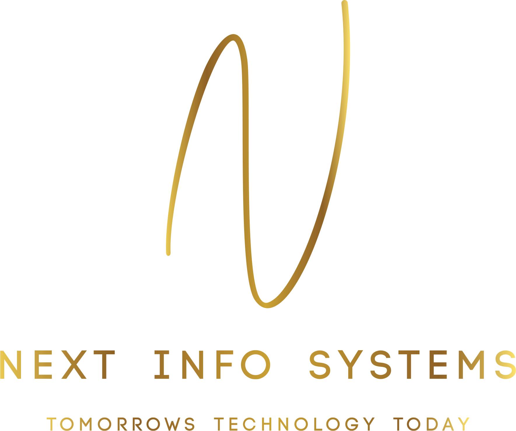 Next Info Systems Logo
